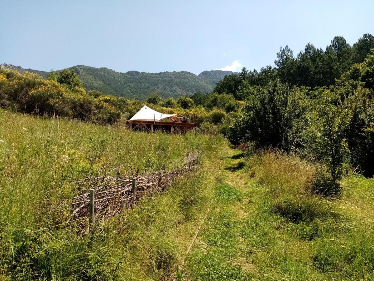 Luxe tent De La Ferme Du Chant De Cailloux *